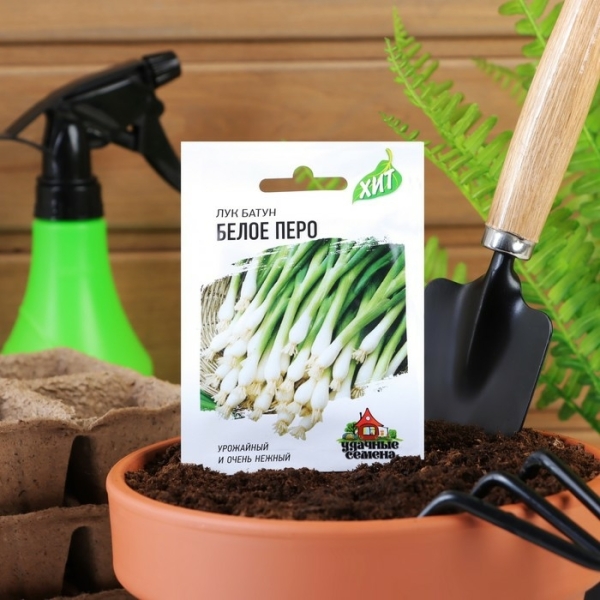 Лук на зелень Белое перо 0,5гр Гавриш