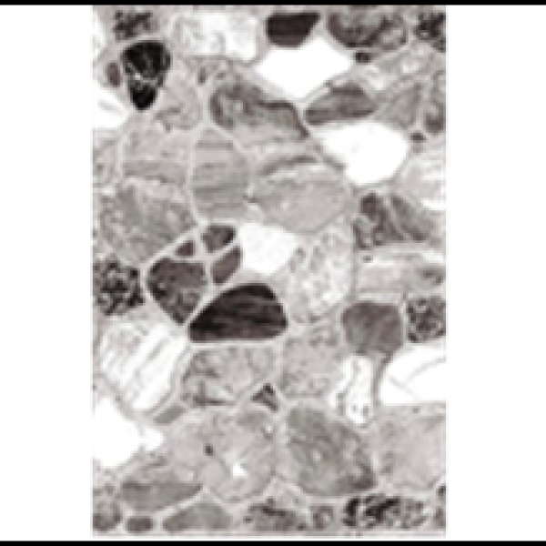 Карпет 12С26-ВИ Принт-хромоджет p2363/a2/100 1,0*2,0 м. Витебск