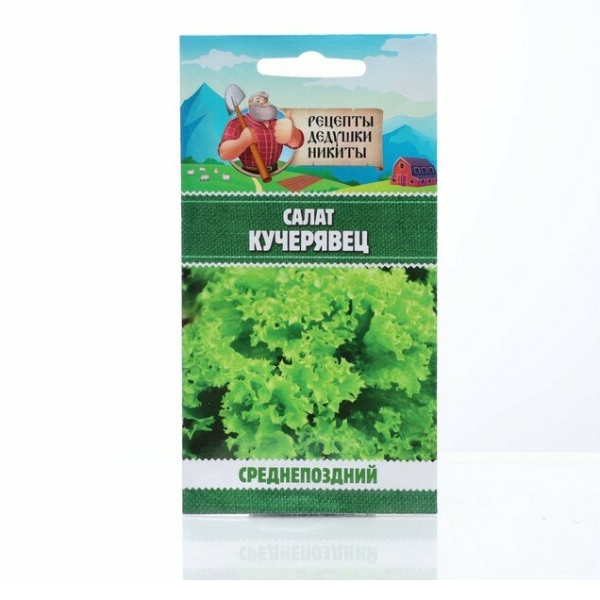 Салат листовой Кучерявец Одесский среднепоздний 0,5гр Рецепты дедушки Никиты
