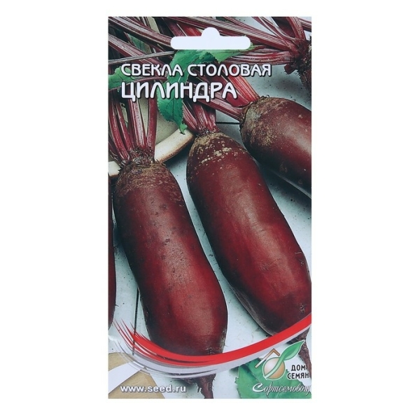 Свекла Цилиндра Дом семян