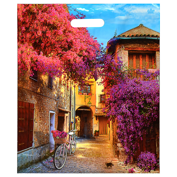 Пакет глянцевый с вырубной ручкой, 45х38см, 60 мкм, 5 дизайнов