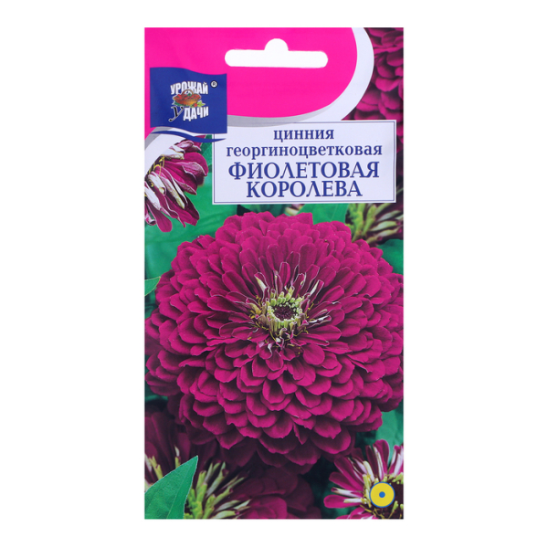 Цинния Фиолетовая королева 0,3гр Урожай удачи