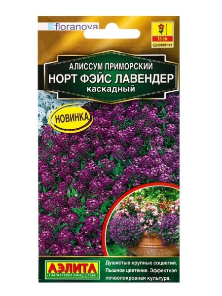 Алиссум Норт фэйс лавендер каскадный 10шт Аэлита