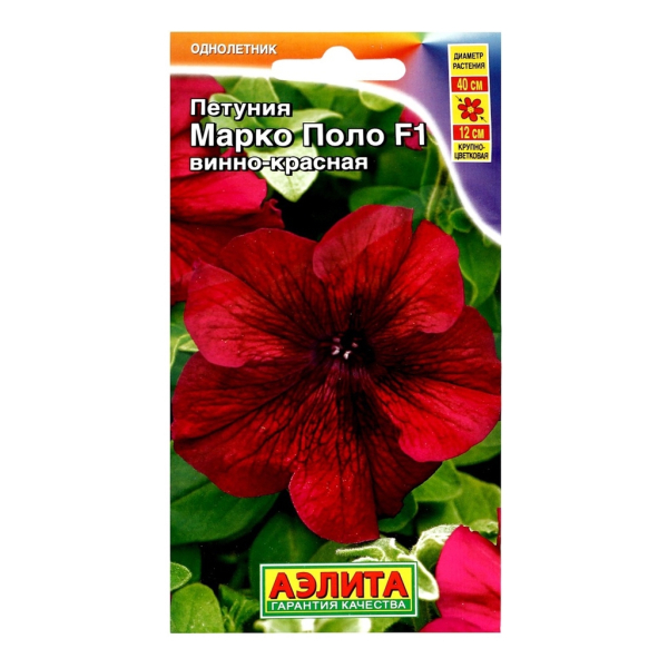 Петуния Марко Поло винно-красная 7шт Аэлита
