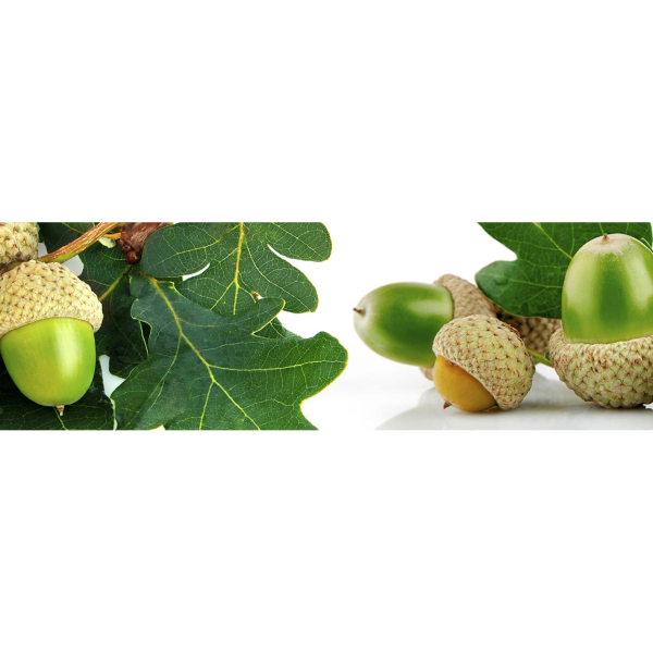 Фартук ABS Желуди 600*2000*1,5 мм ТЭССО