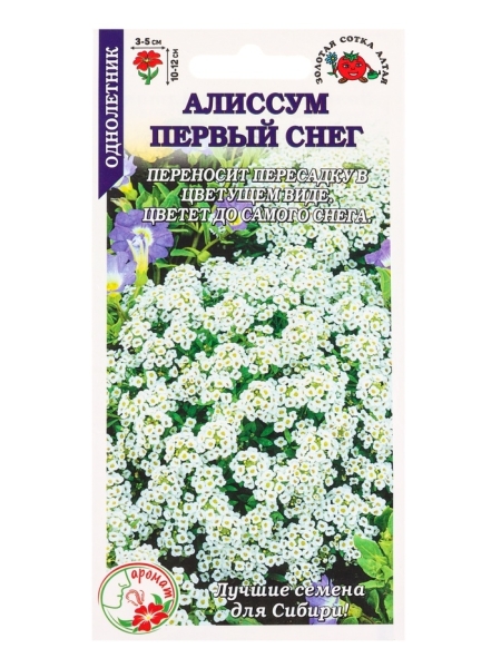 Алиссум Первый снег 0,05гр Золотая Сотка Алтая