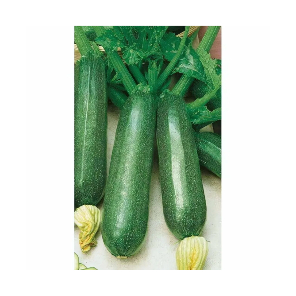 Кабачок Горошек цуккини раннеспелый 1гр ЦП