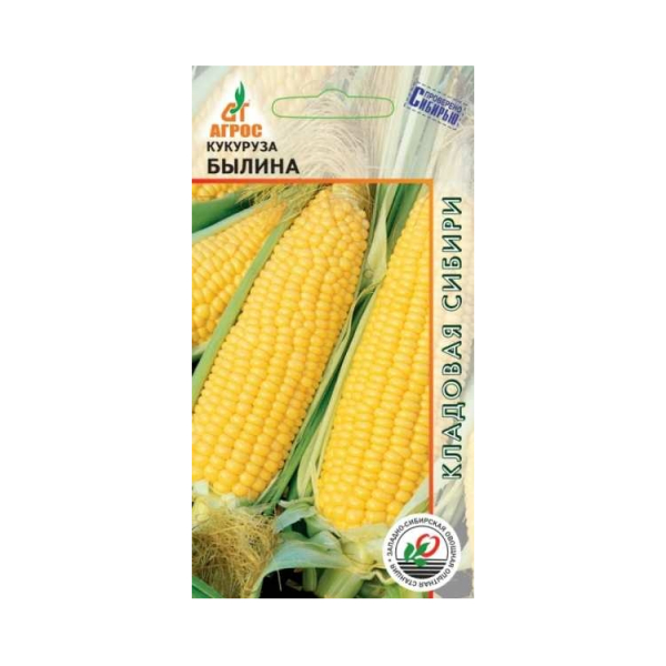 Кукуруза Былина раннеспелый 2гр Агросс