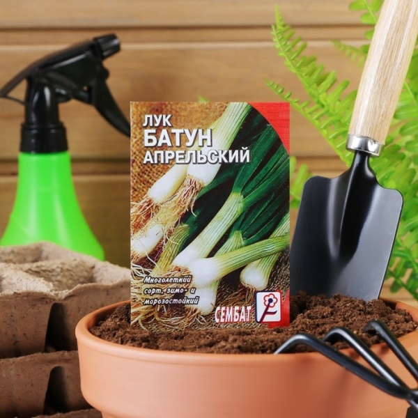 Лук батун Апрельский 1гр Сембат