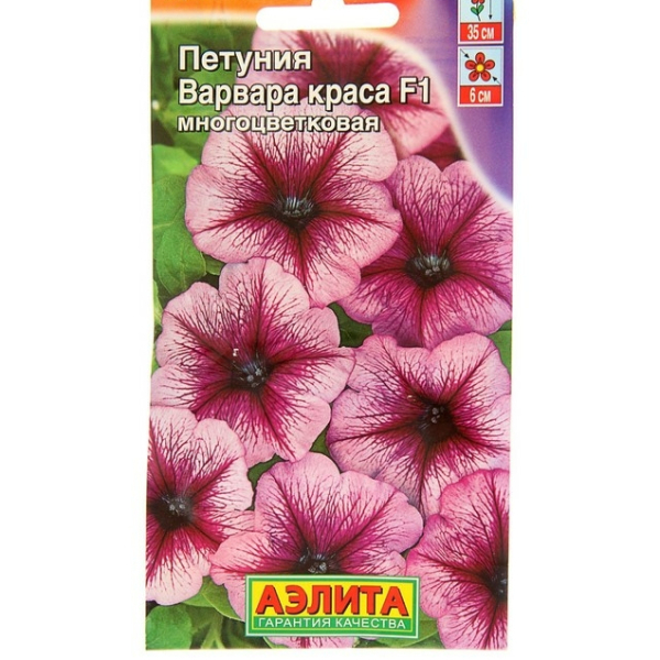 Петуния Варвара краса 7шт Аэлита