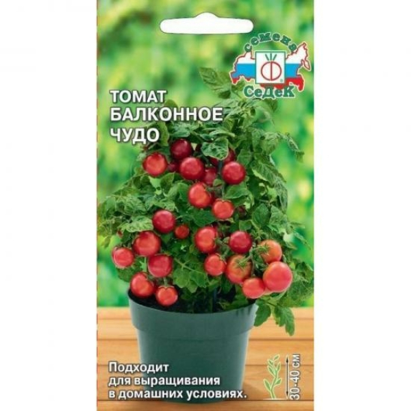 Томат Балконное Чудо 0,1 скроспелый з/г СеДеК