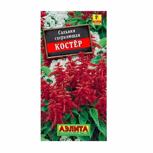 Сальвия Костер 0,1гр