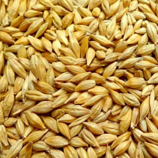 Ячмень 1кг СдС