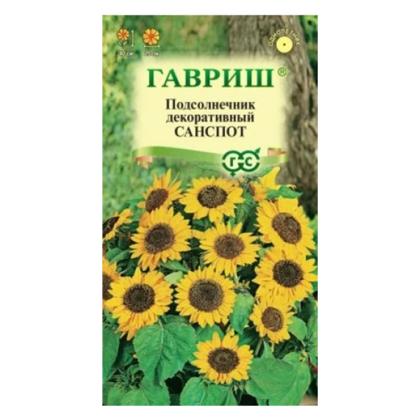 Подсолнечник Санспот карликовый декоративный (Гавр)