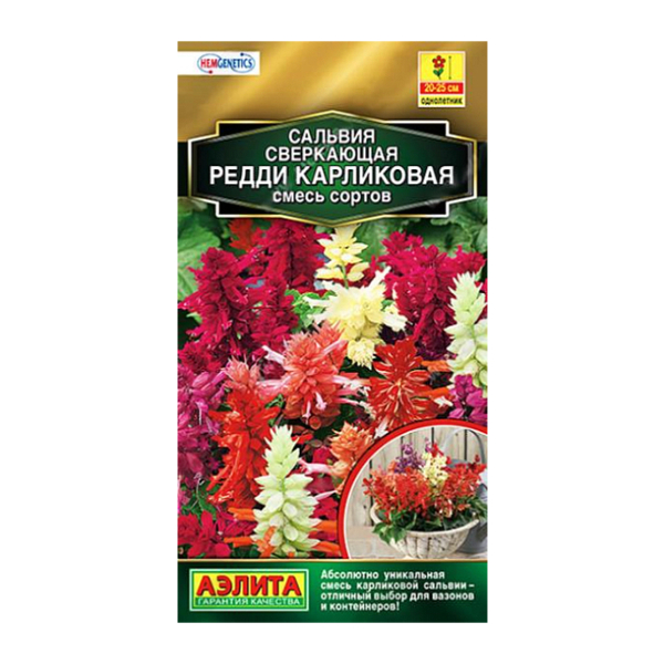 Сальвия Редди карликовая смесь 7шт Аэлита