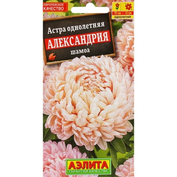 Астра Александрия шамоа 0,1гр Аэлита