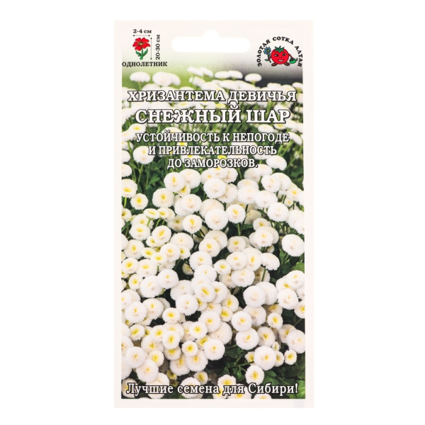 Хризантема девичья Снежный шар белая махровая 0,05гр Золотая Сотка Алтая