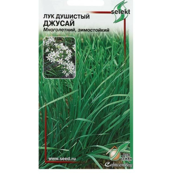 Лук душистый Джусай 40шт Дом семян