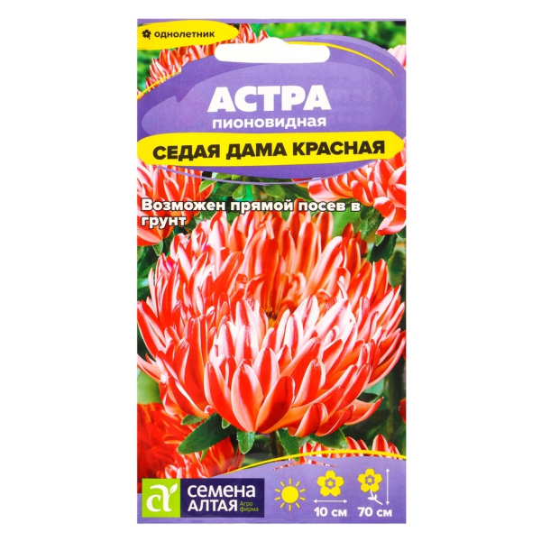 Астра Седая дама 0,1гр Семена Алтая