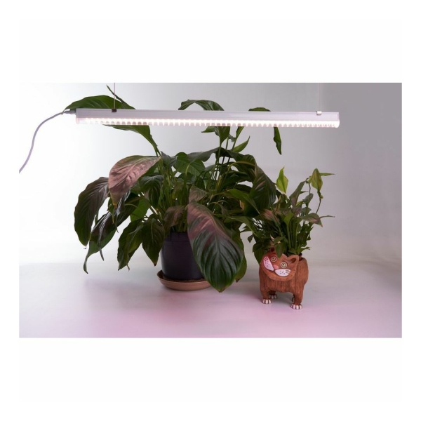 Светильник св/д для растений 14Вт 873мм линейный 18.9мкмоль/с полный спектр шнур AL7002 Feron