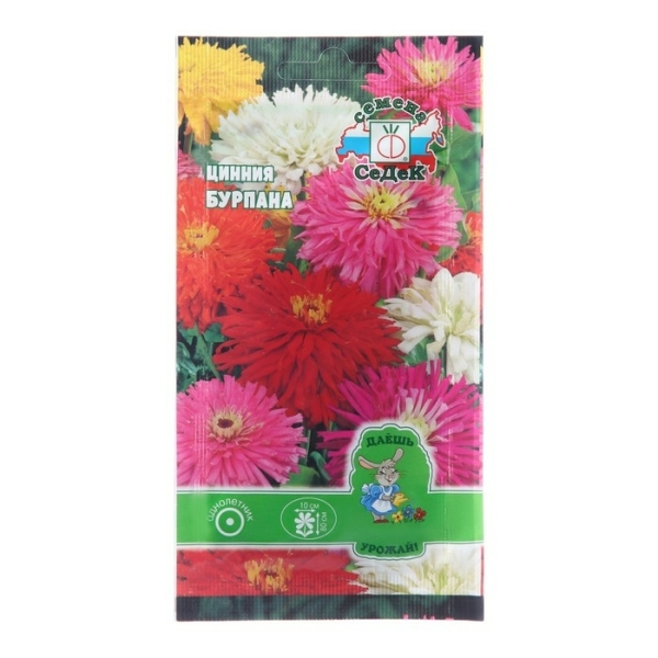 Цинния Бурпана 0,3гр СеДеК