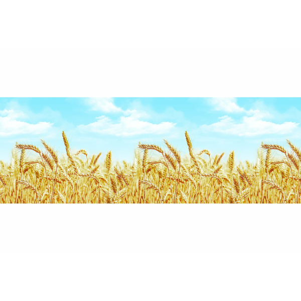 Фартук ABS Пшеница  600*3000  1,5мм  Тэссо