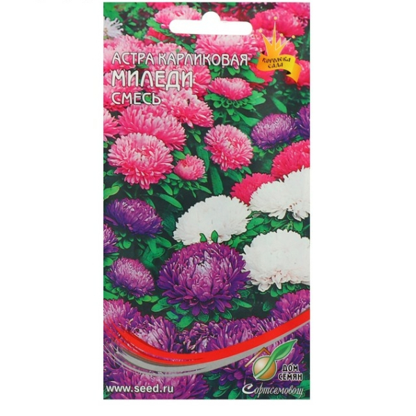 Астра Миледи 90шт Дом семян