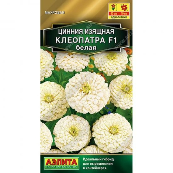 Цинния Клеопатра F1 белая 12шт ЦП Аэлита