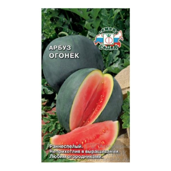Арбуз Огонек раннеспелый 1гр  СеДеК