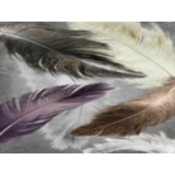 Коврик диатомитовый Dekorelle РЕЛАКС RT084-B, разм. 40x60см
