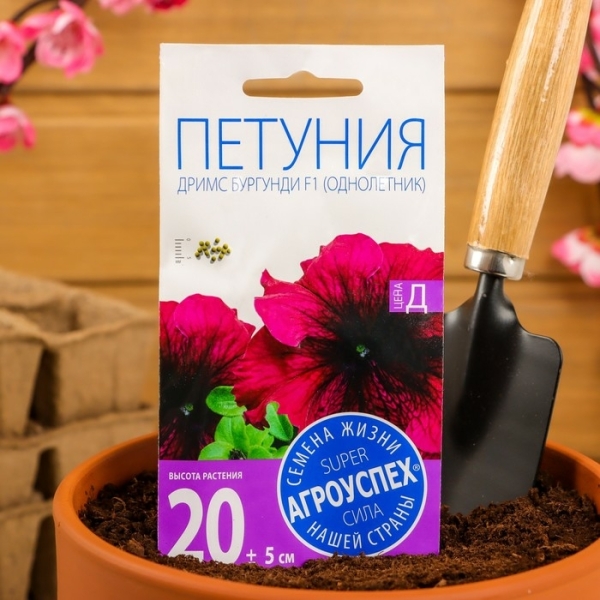 Петуния Дримс 10шт Агроуспех
