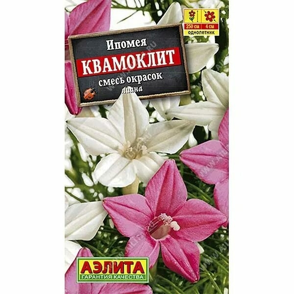 Ипомея Квамоклит смесь 0,5гр Аэлита