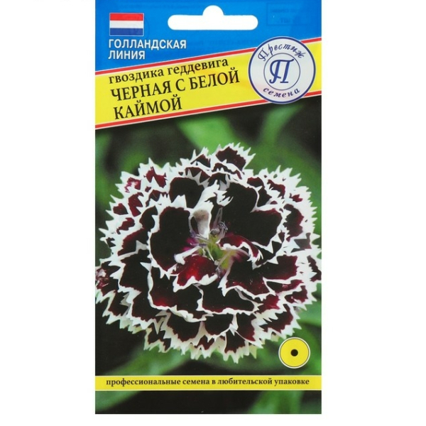 Гвоздика Черная с белой каймой 15гр Престиж семена