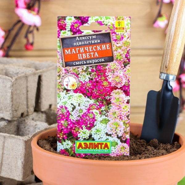 Алиссум Магические цвета 0,03гр Аэлита