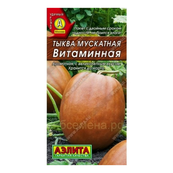 Тыква Витаминная Аэлита