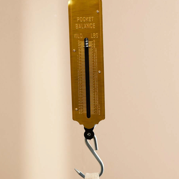 Безмен вертикальный 50 кг метал