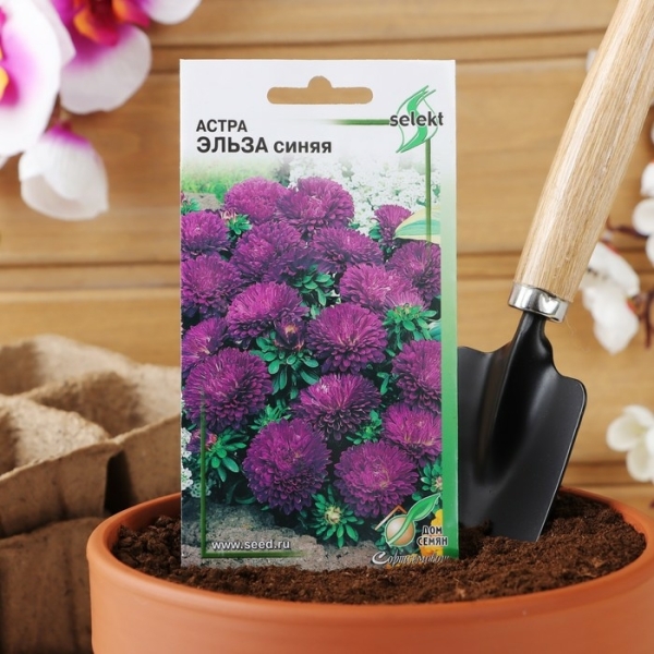 Астра Эльза синяя 35шт Дом семян