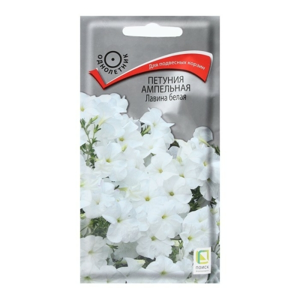 Петуния Лавина белая 10шт Поиск