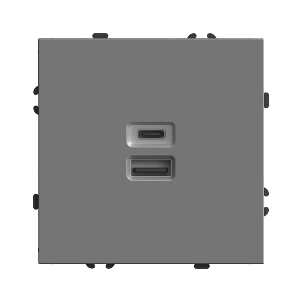 Розетка СУ 2 мест. USB + Type C 20W платиново-серый soft touch ЭМИЛИ STEKKER мех-зм под рамку