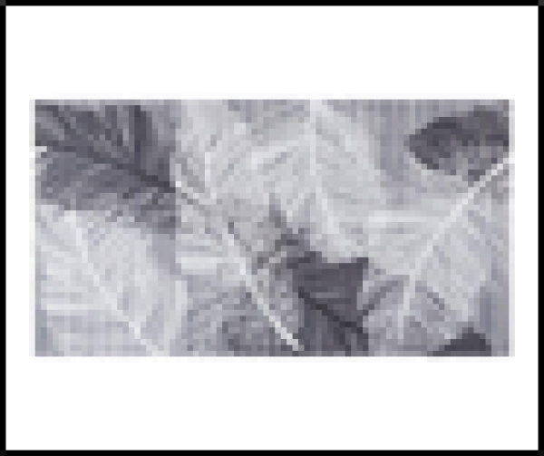 Дорожка в рулоне 0,8*15м Фирн