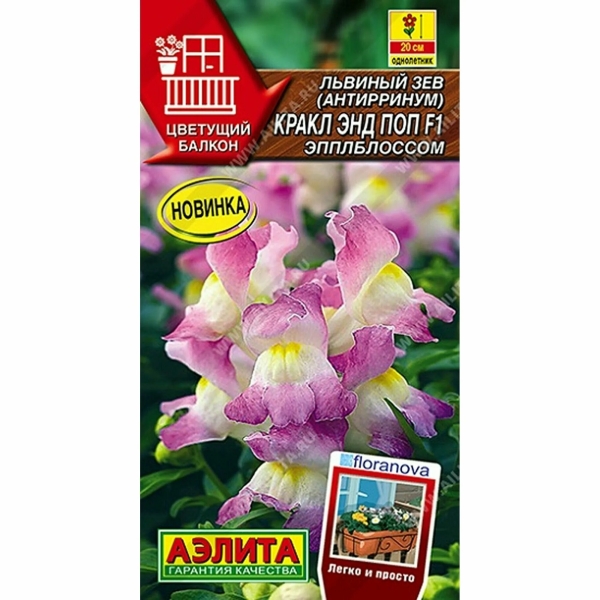 Львиный зев Кракл энд поп 7шт