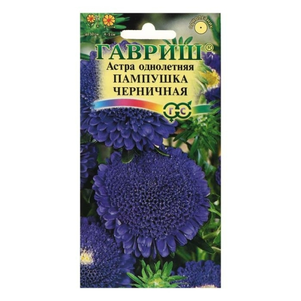 Астра Пампушка черничная 0,3гр Гавриш