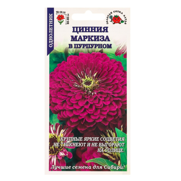 Цинния Маркиза в пурпурном 0,2гр Золотая Сотка Алтая