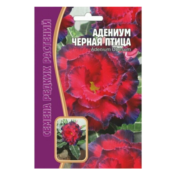 Адениум Черная птица Редкие