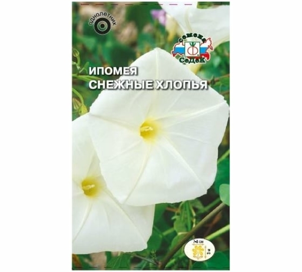 Ипомея Снежные хлопья белая 1гр СеДеК