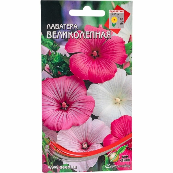 Лаватера Великолепная 45шт