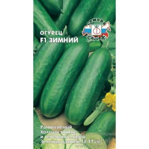 Огурец Зимний раннеспелый 0,2гр СеДеК