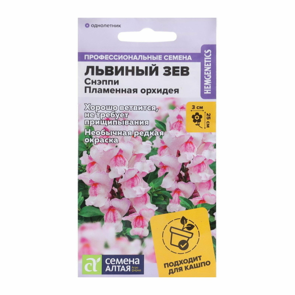 Львиный зев Пламенная орхидея 7шт