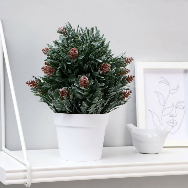 Бонсай в горшке Хвойный куст 10*24см