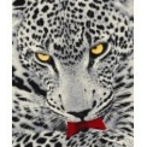 Ковер COLOR 2*3 дизайн L819A L.GREY/RED